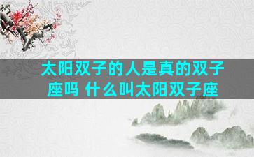 太阳双子的人是真的双子座吗 什么叫太阳双子座
